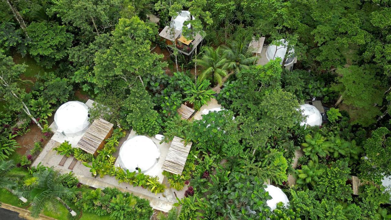 Palo Alto Glamping Hotel Quesada  Zewnętrze zdjęcie