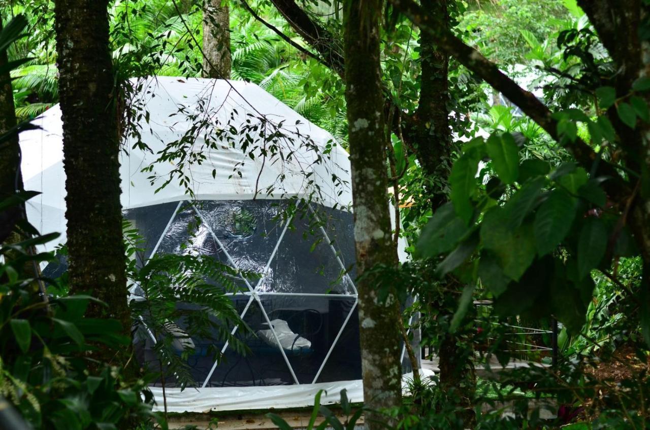 Palo Alto Glamping Hotel Quesada  Zewnętrze zdjęcie