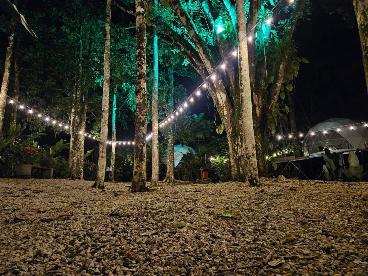 Palo Alto Glamping Hotel Quesada  Zewnętrze zdjęcie