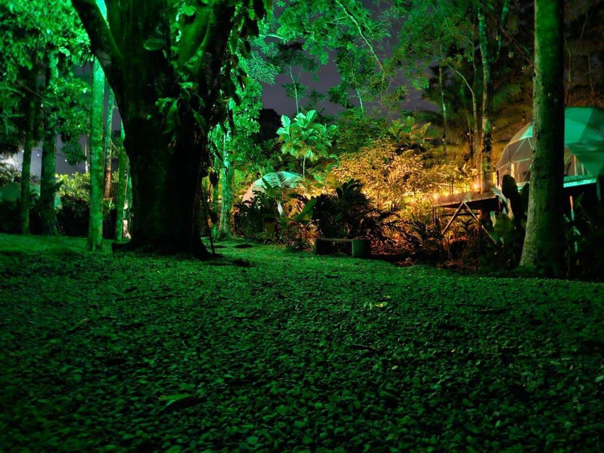 Palo Alto Glamping Hotel Quesada  Zewnętrze zdjęcie