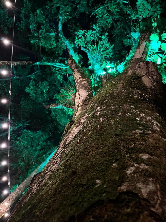 Palo Alto Glamping Hotel Quesada  Zewnętrze zdjęcie