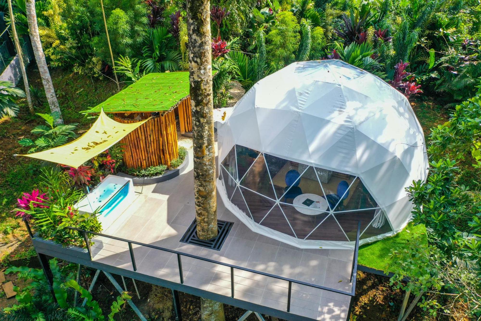 Palo Alto Glamping Hotel Quesada  Zewnętrze zdjęcie
