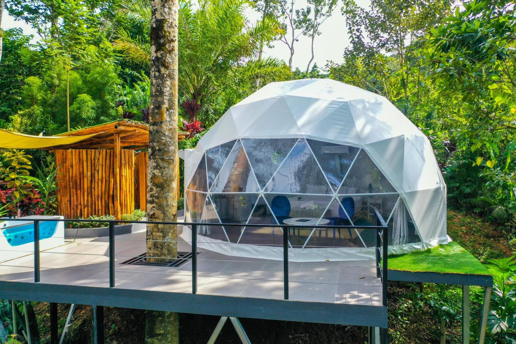Palo Alto Glamping Hotel Quesada  Zewnętrze zdjęcie