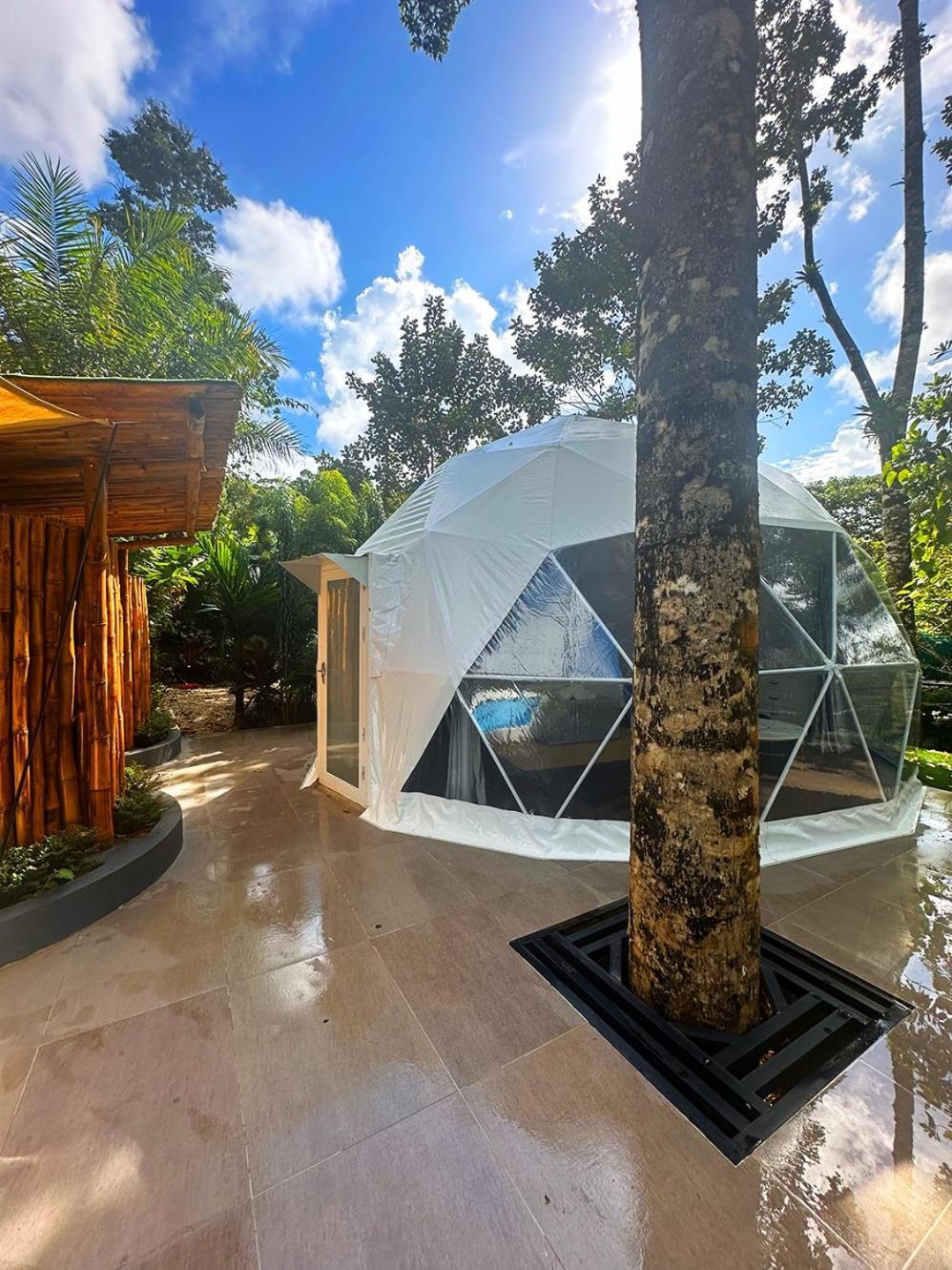 Palo Alto Glamping Hotel Quesada  Pokój zdjęcie